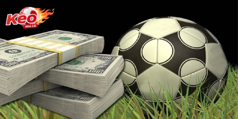 Người chơi áp dụng Thủ Thuật Cược chiến lược và biết dừng đúng lúc.