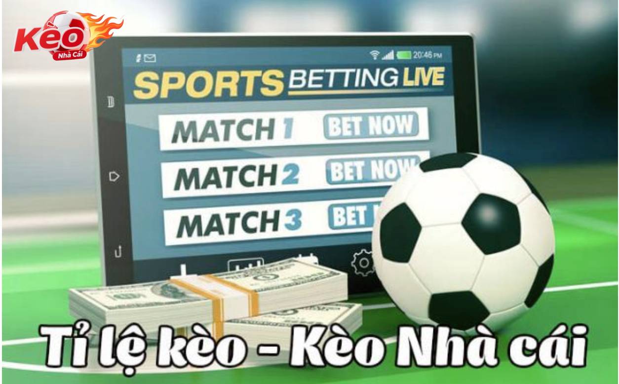 Trang web có nhiều loại kèo để người chơi lựa chọn